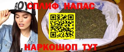 не бодяженный Гай