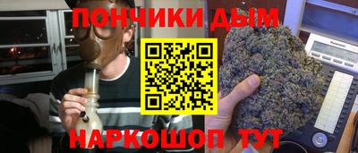 не бодяженный Гай