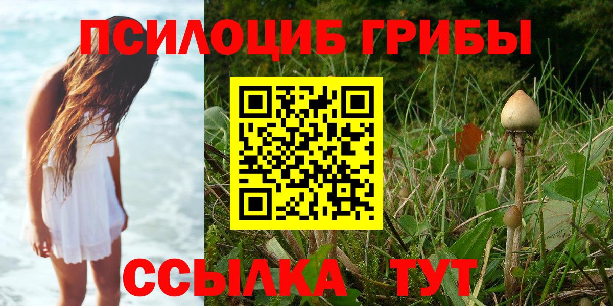 Псилоцибиновые грибы мухоморы Саки