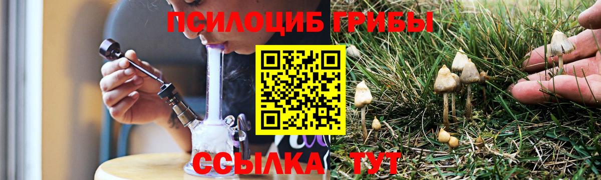 Саки  Галлюциногенные грибы MAGIC MUSHROOMS  Вход с VPN 