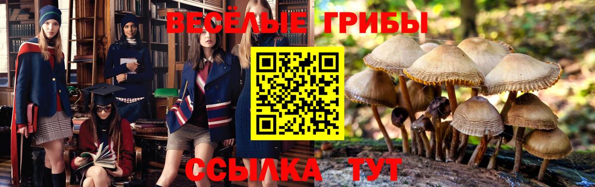 Галлюциногенные грибы мицелий  Псилоцибиновые грибы мицелий  Саки 